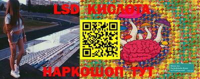 тгк Волгодонск