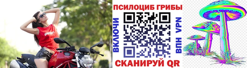 Псилоцибиновые грибы GOLDEN TEACHER  Куйбышев 